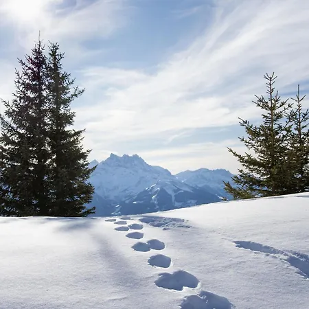 Ambassadeur 3 By Interhome Appartamento