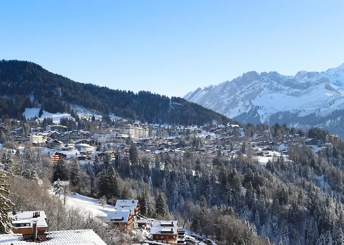 Ambassadeur 3 By Interhome Appartamento