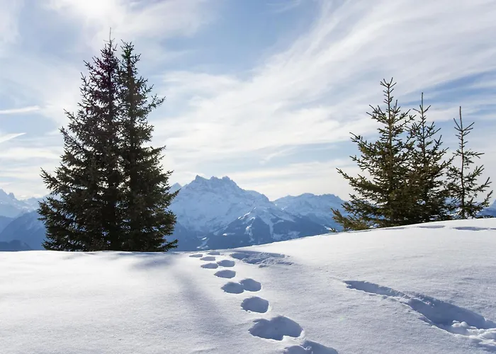 Ambassadeur 3 By Interhome Appartamento